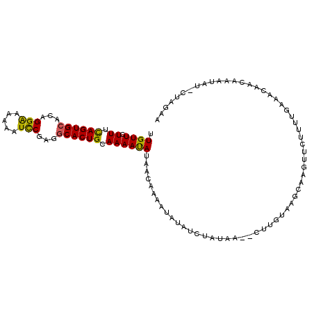 secondary structure