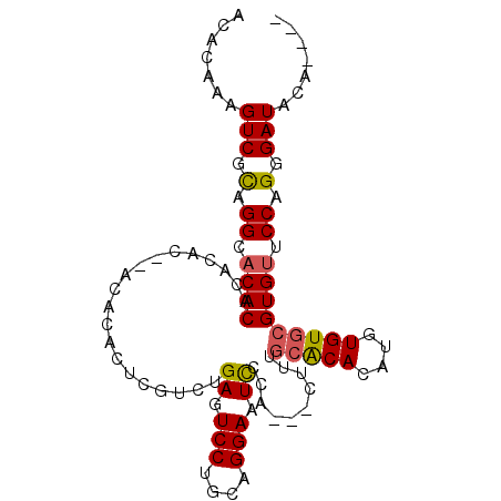 secondary structure