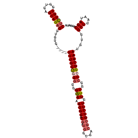 secondary structure