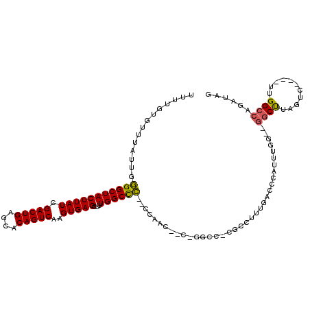 secondary structure