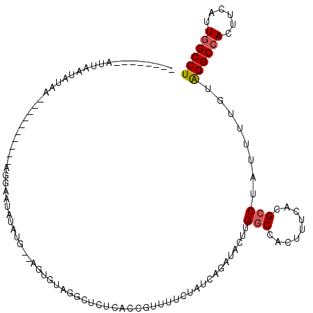 secondary structure