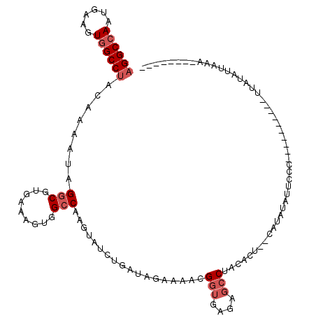 secondary structure