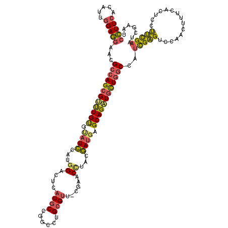 secondary structure