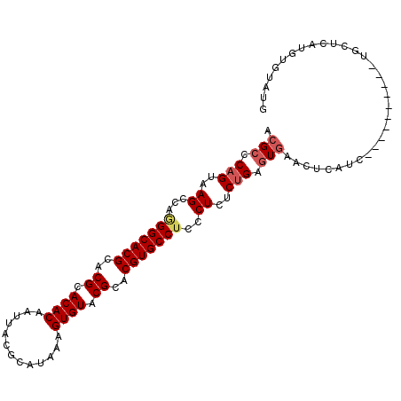 secondary structure