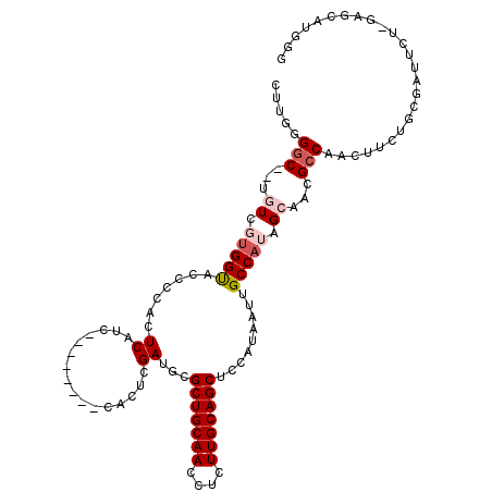 secondary structure