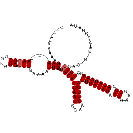 secondary structure