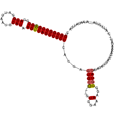 secondary structure