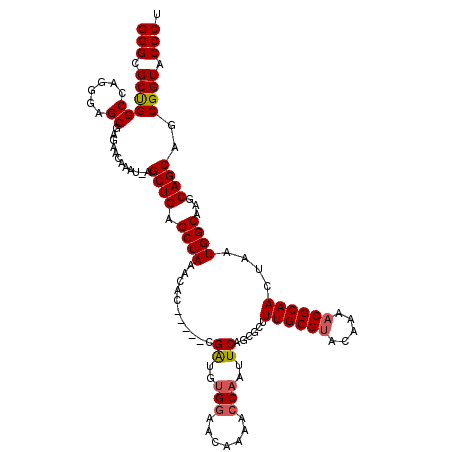 secondary structure