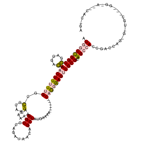 secondary structure