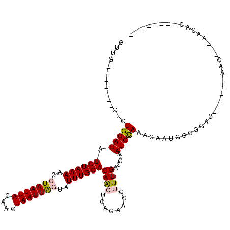 secondary structure