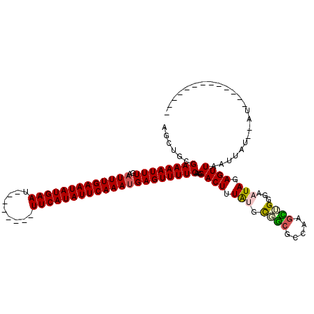secondary structure