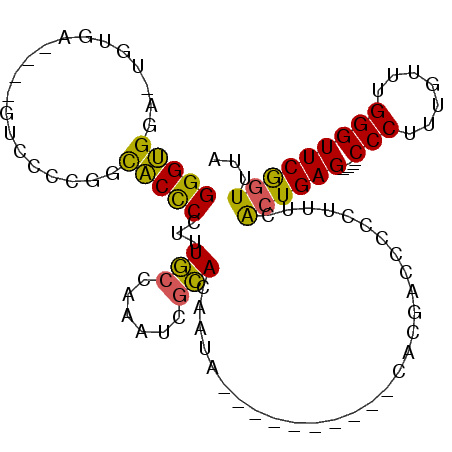 secondary structure