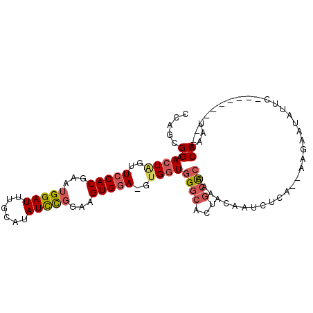 secondary structure