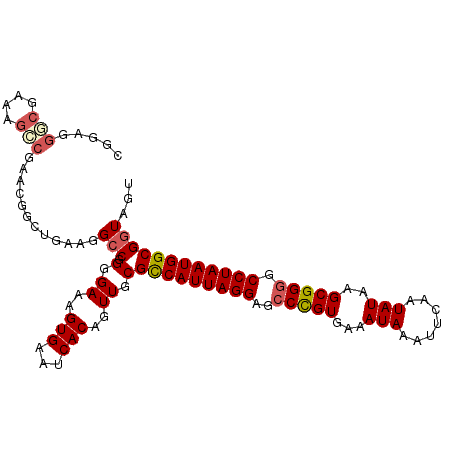 secondary structure