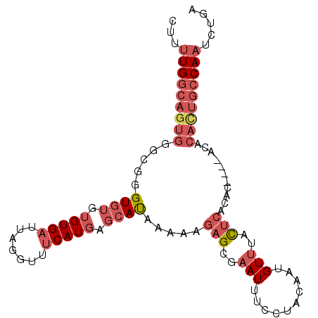 secondary structure