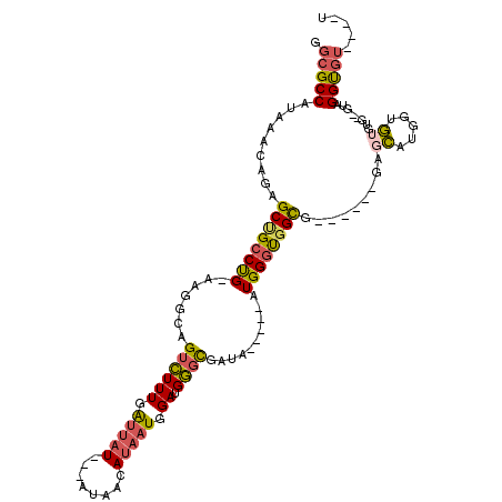 secondary structure