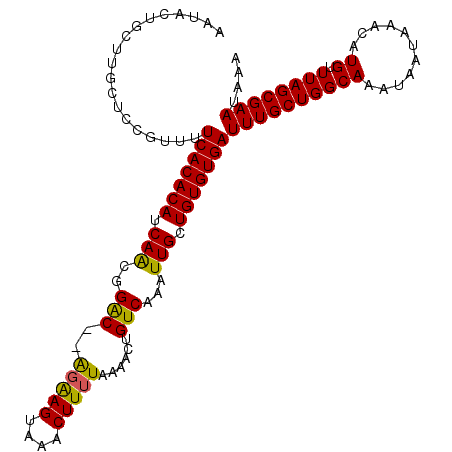 secondary structure