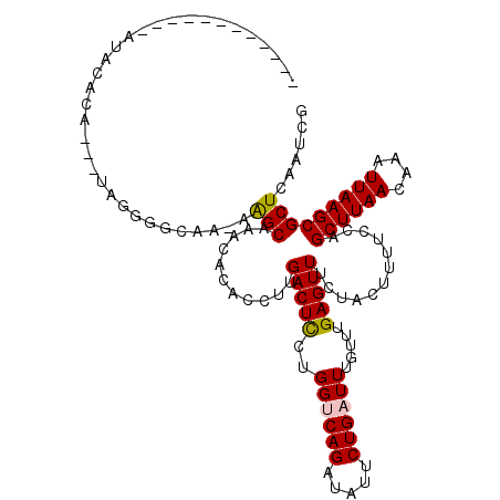 secondary structure