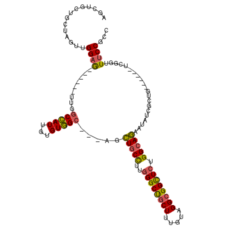 secondary structure
