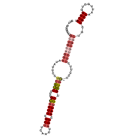 secondary structure