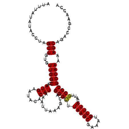 secondary structure