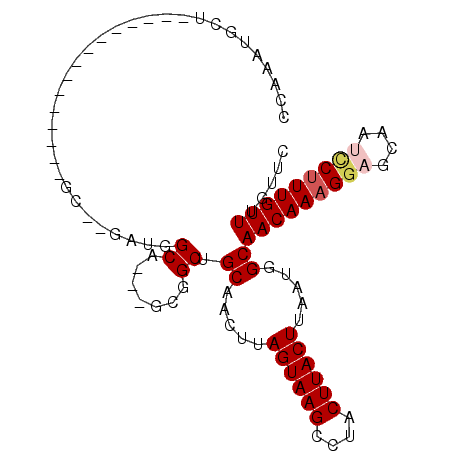 secondary structure