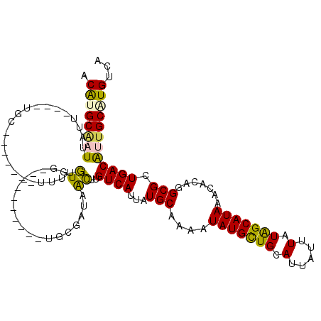 secondary structure
