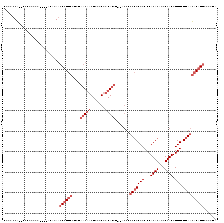 dotplot
