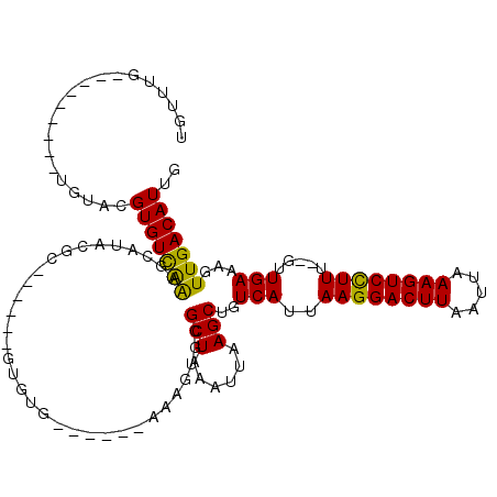 secondary structure