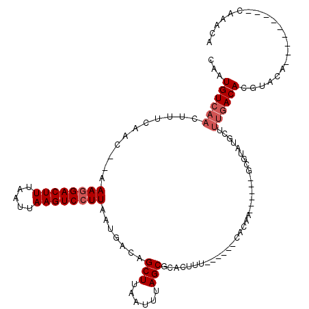 secondary structure