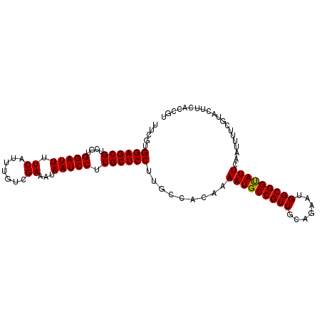 secondary structure