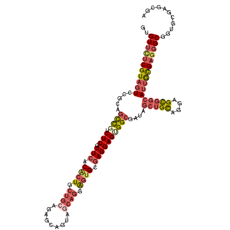 secondary structure