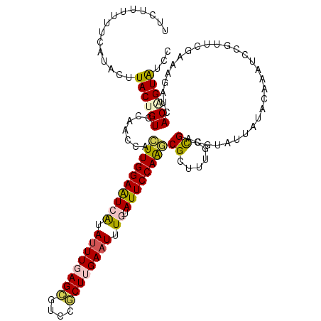 secondary structure