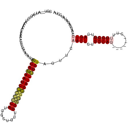 secondary structure