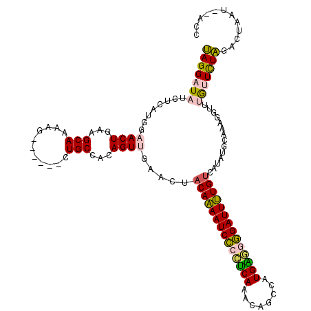 secondary structure