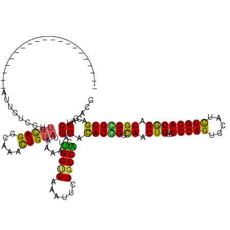 secondary structure