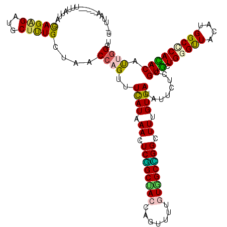 secondary structure