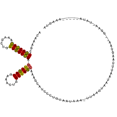 secondary structure