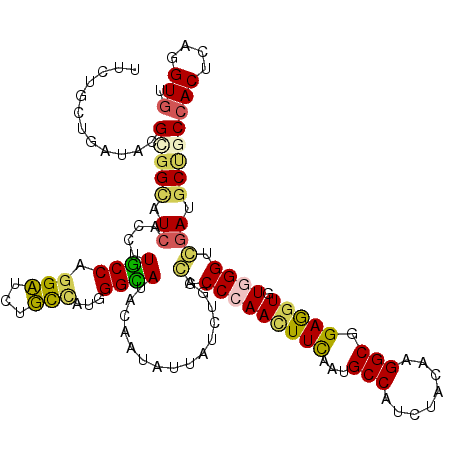 secondary structure