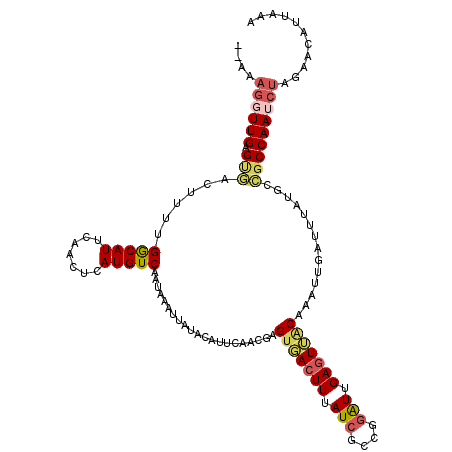 secondary structure
