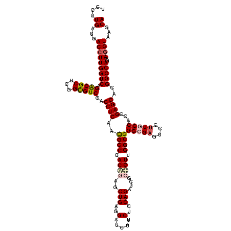 secondary structure