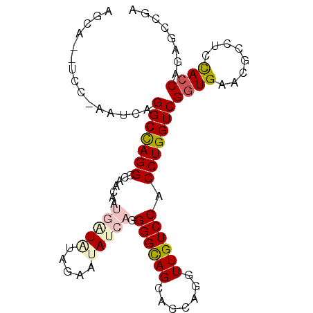 secondary structure