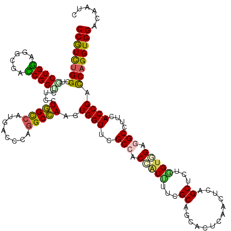secondary structure