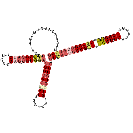 secondary structure