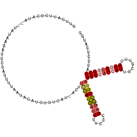 secondary structure