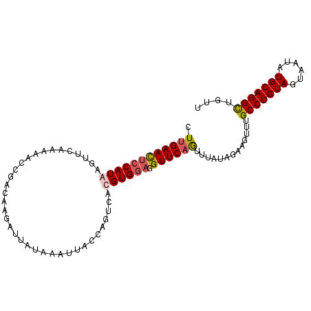 secondary structure