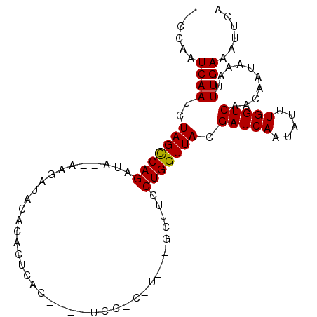 secondary structure