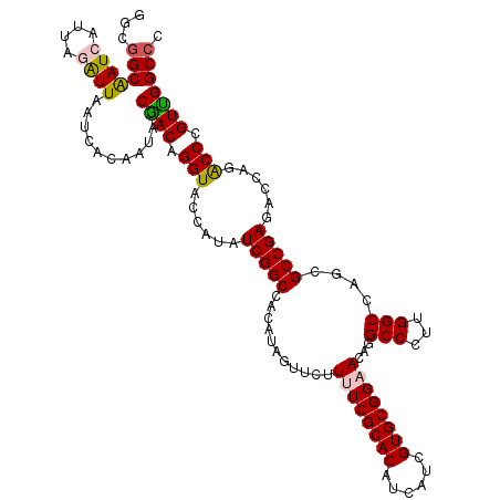 secondary structure