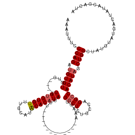 secondary structure