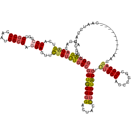 secondary structure